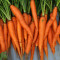 Arizona Fresh Carrots