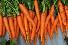 Arizona Fresh Carrots